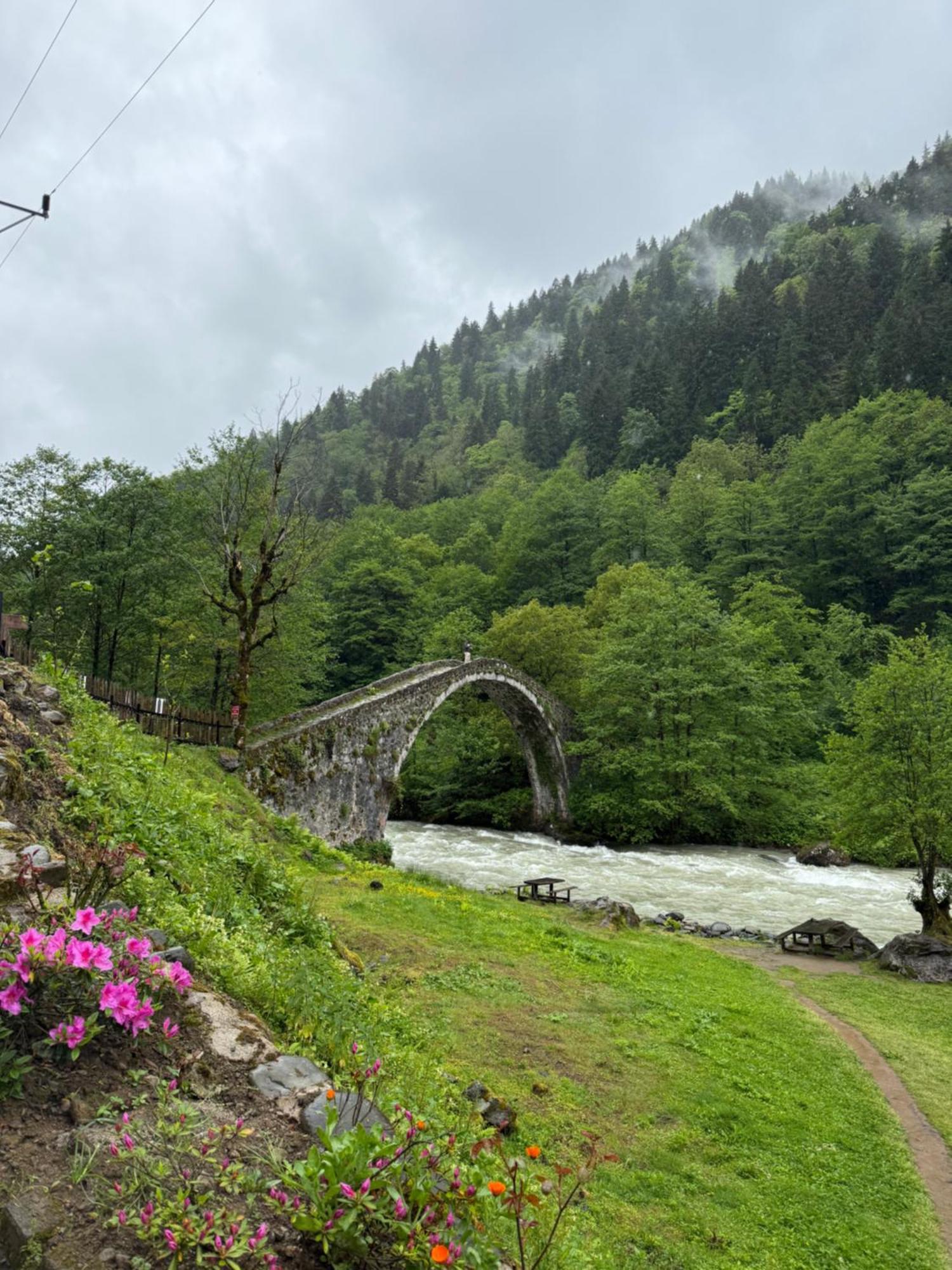 Berona Dag Evleri Camlihemsin ภายนอก รูปภาพ